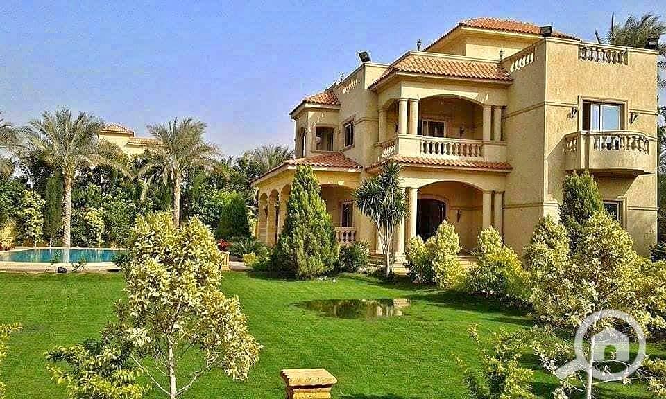 13 54518057_2298070503762451_1188308010741530624_n. jpg