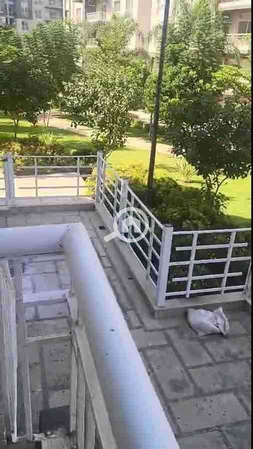 1000098106. jpg 1000098106. jpg