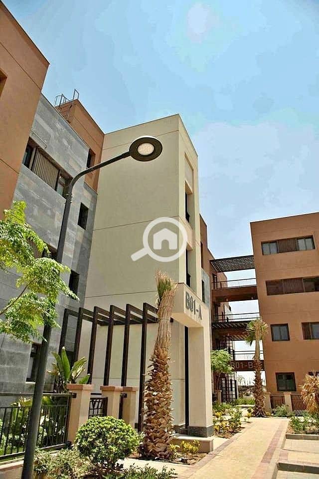 6 WhatsApp Image 2025-10-15 at 12.30. 17 PM (1). jpeg