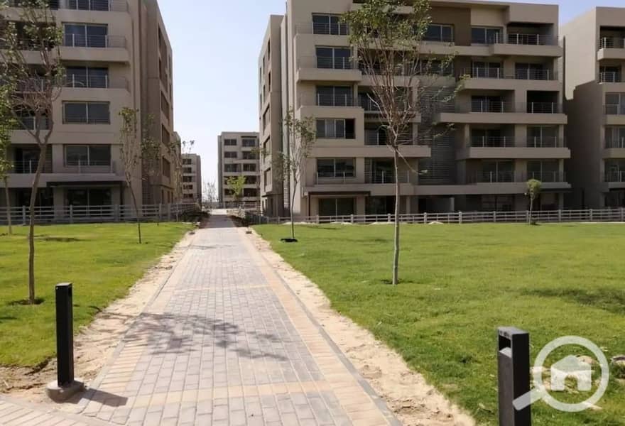 6 287754019_4866117420178416_2819920374175383209_n. jpg