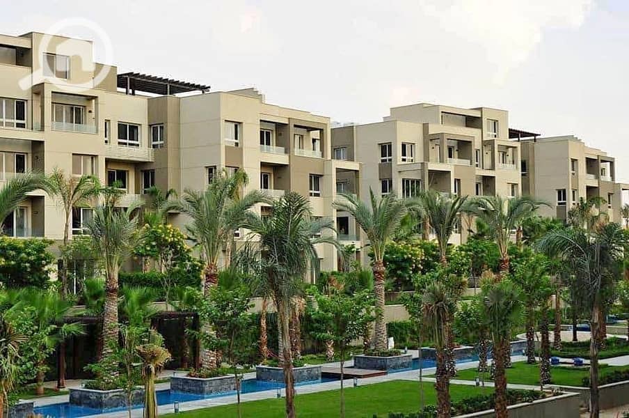 4 376740415_6084397988328694_2206627713443519724_n. jpg