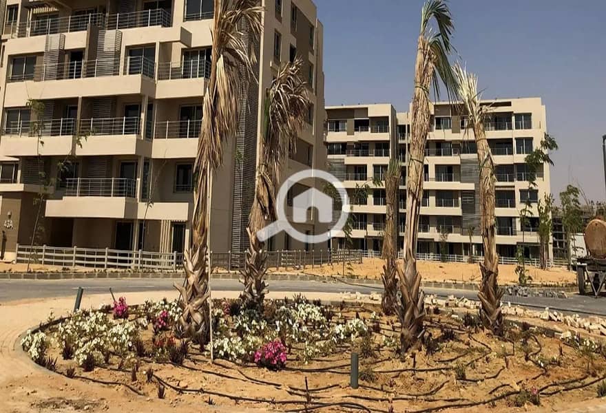 9 287766625_4866117153511776_3506312400409091071_n. jpg