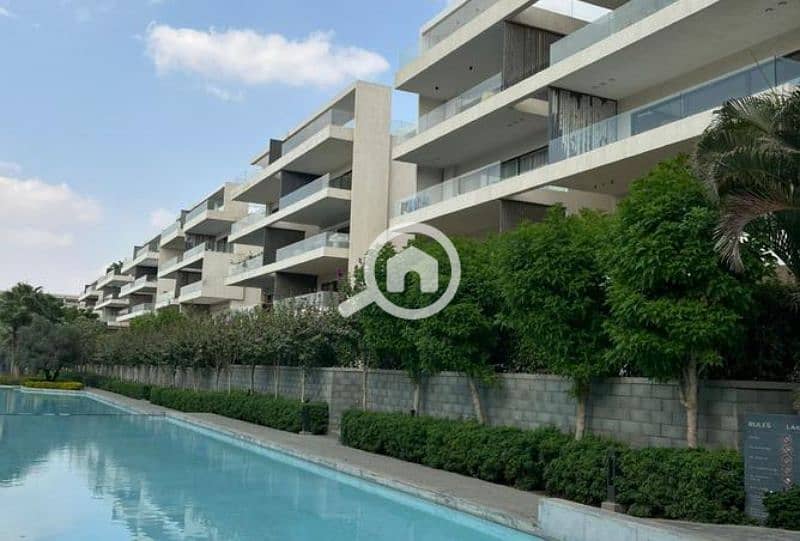 8 7893899-d9c86o. jpg