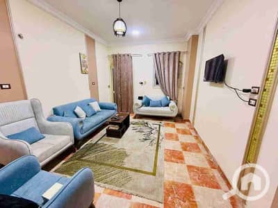 3 Bedroom Flat for Rent in Zagazig, Sharqia - 1000716191. jpg 3 Bedroom Flat for Rent in Zagazig, Sharqia - 1000716191. jpg