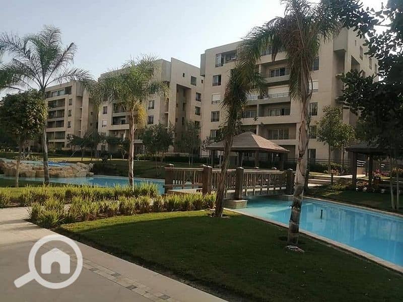 1000031791. jpg 1000031791. jpg