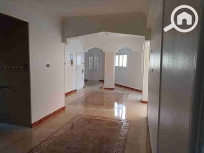 3 Bedroom Flat for Rent in Zagazig, Sharqia - 1000721735. jpg
