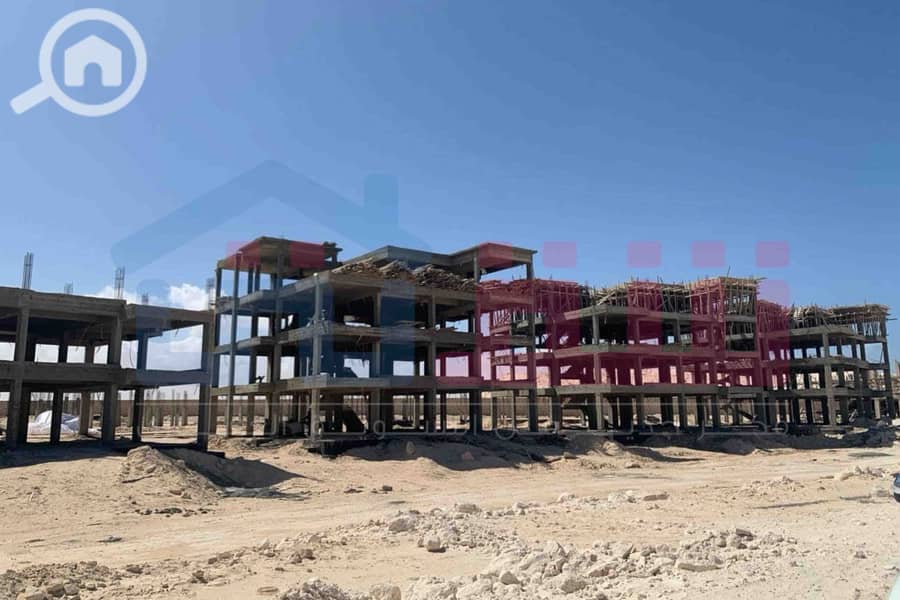 12 WhatsApp Image 2024-03-07 at 8.45. 18 PM. jpg