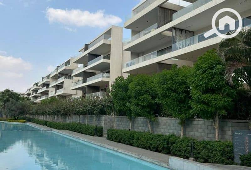 7 7893899-d9c86o. jpg