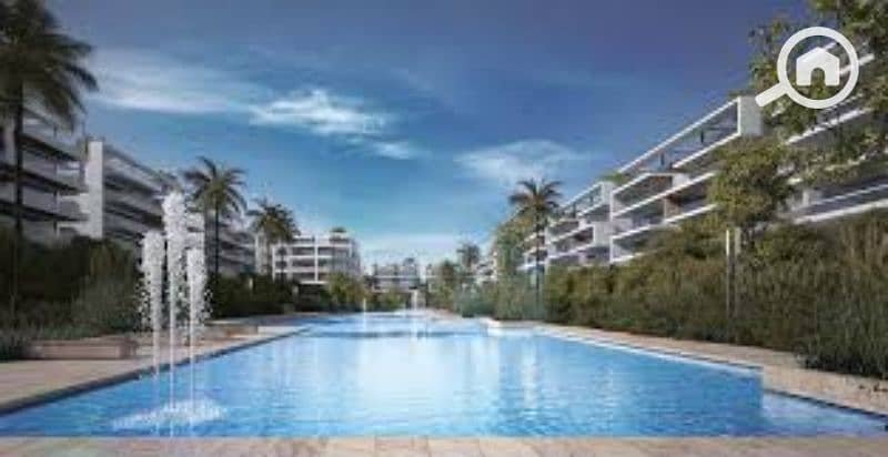 16 images (3). jfif. jpg