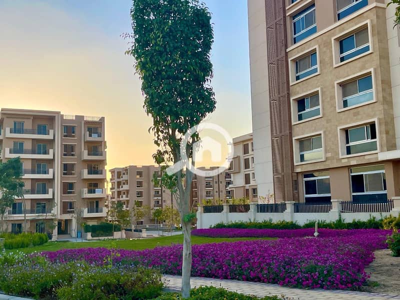 10 WhatsApp Image 2025-08-10 at 4.15. 24 PM (2). jpeg