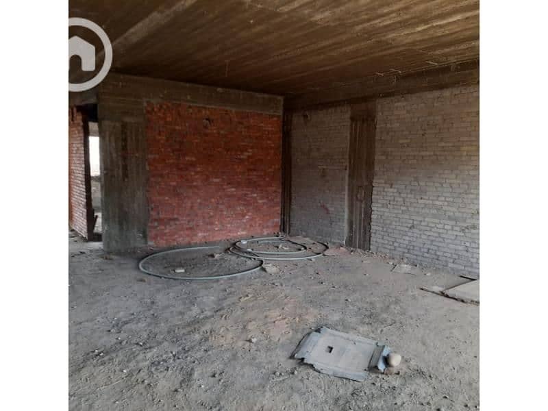 2 WhatsApp Image 2024-01-27 at 14.17. 48_85502217. jpg