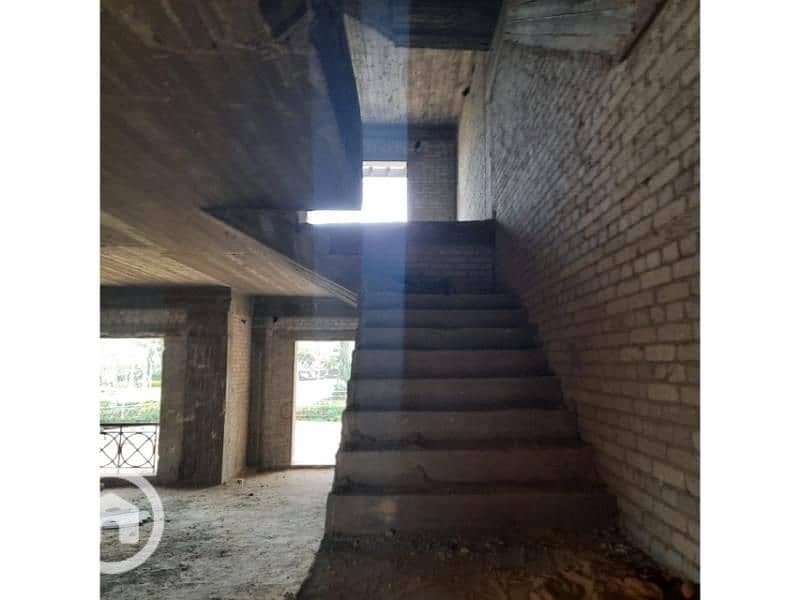 3 WhatsApp Image 2024-01-27 at 14.17. 48_ceffe0e5. jpg