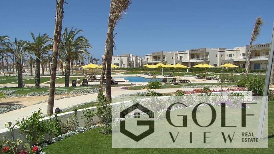 3 12027502_1013918675326145_8142057500356985450_n. jpg