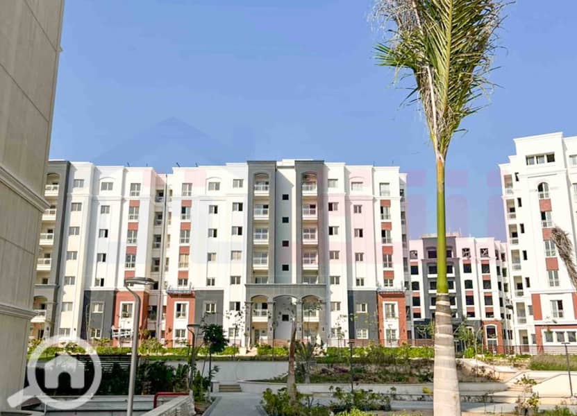 11 IMG-20251126-WA0040. jpg