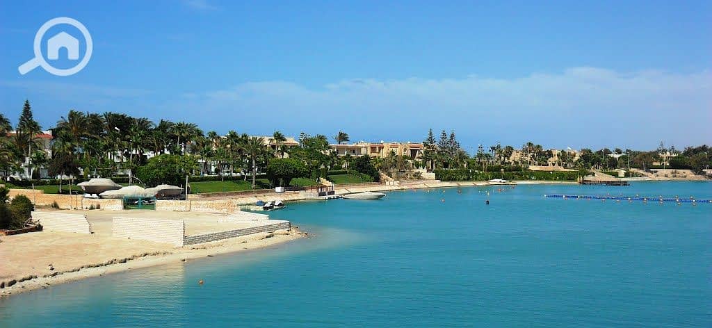 5 xzjcTMHTHq5h5y6HpPOkS0mboZkWJB. jpg