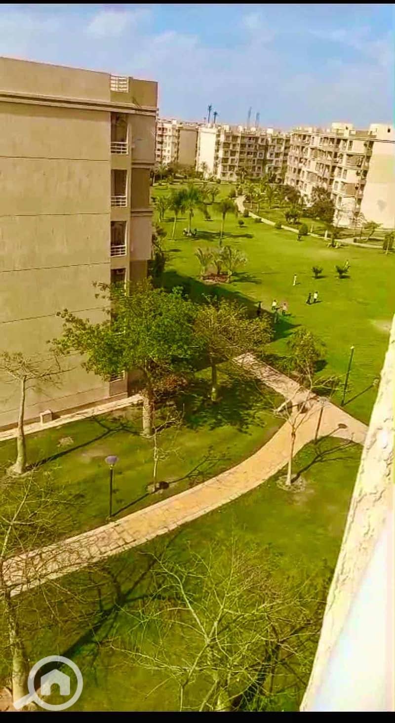 17 45aa75ab-b882-40b4-9cc6-ecd3f233d90d. jpg