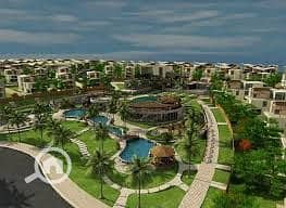 4 download (4). jpeg