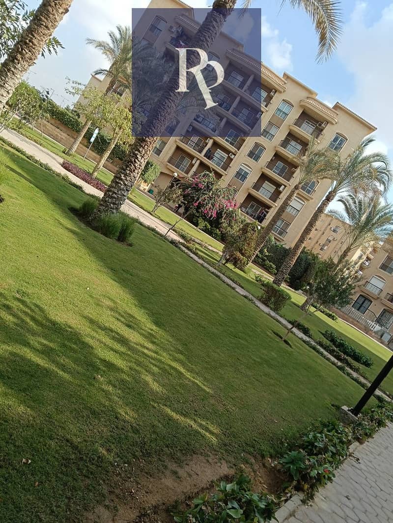 2 6931a11e4b10c. jpg