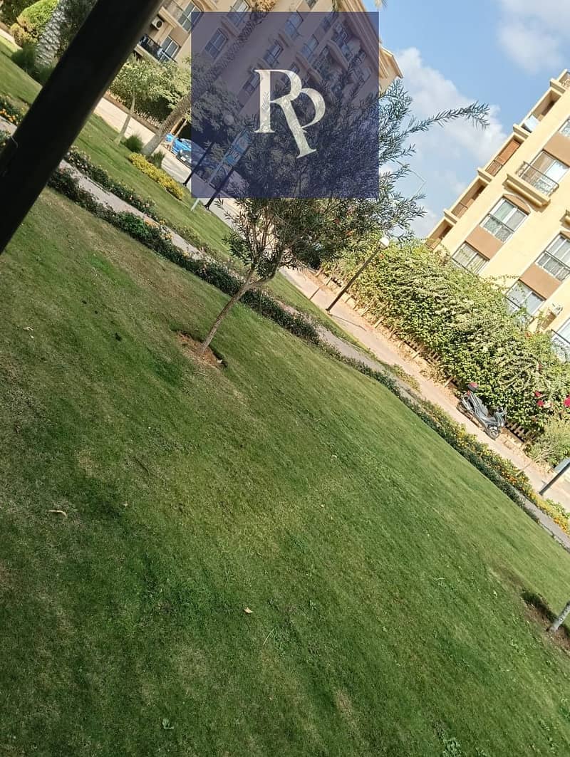 8 6931a11f3049f. jpg