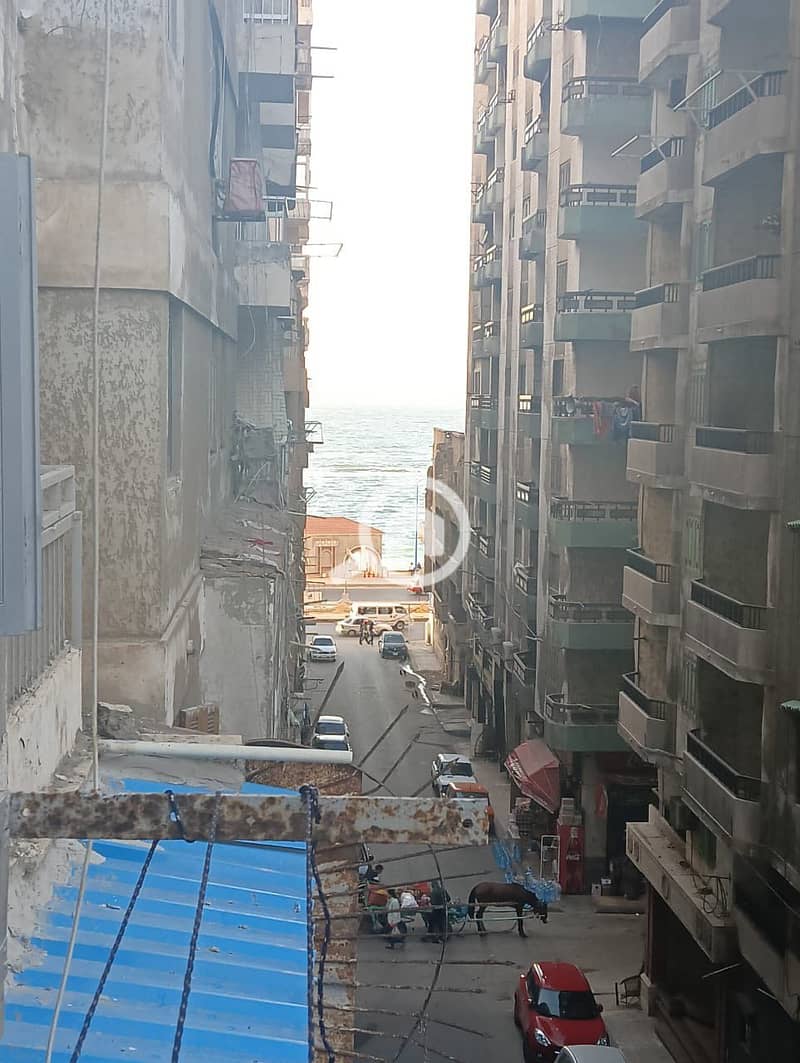 489607823_9775916249201285_6336987731391380498_n. jpg