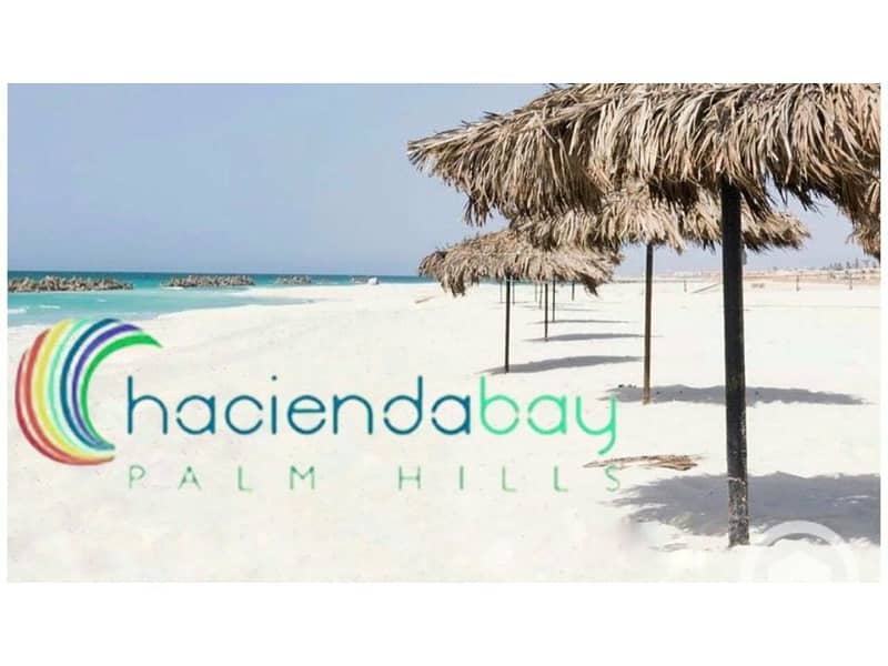 10 WhatsApp Image 2024-12-23 at 1.48. 22 PM. jpg