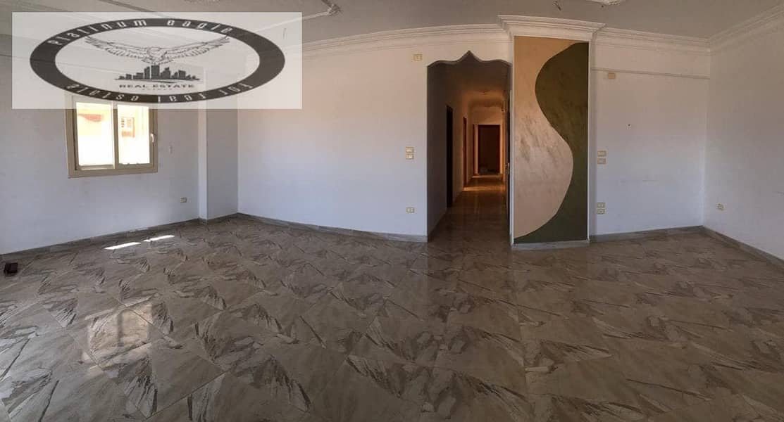 4 0198ae27-69e8-4bf5-9839-1022b39818d7 (1). jpg