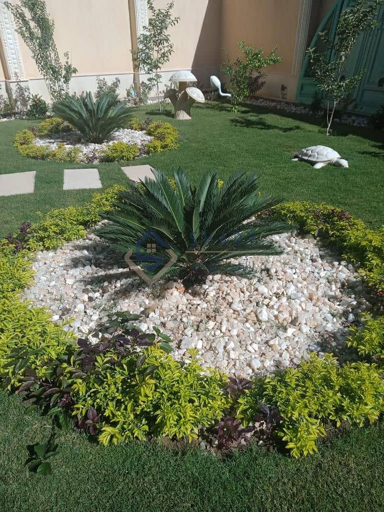 2 WhatsApp Image 2025-12-04 at 20.04. 33_748d7a11. jpg