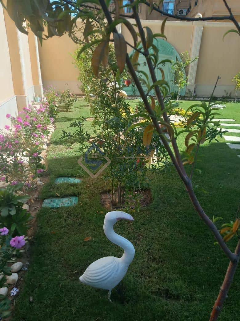 19 WhatsApp Image 2025-12-04 at 20.04. 31_9506b9ba. jpg