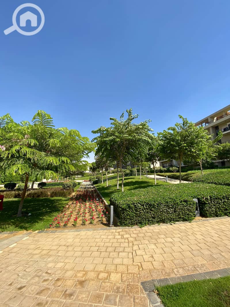 7 62d708ce-a5c5-4fbf-8fd5-22ea78a6892a. jpg