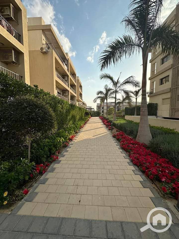 9 photo_2025-05-02_21-44-46. jpg