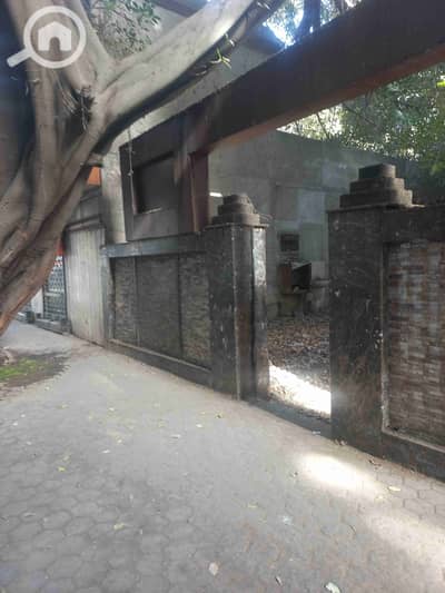 محلات تجارية  للايجار في الزمالك، القاهرة - 1000248800. jpg