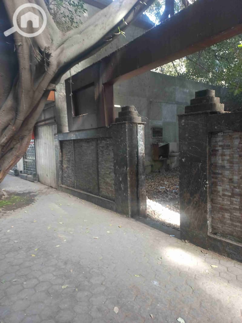 1000248800. jpg 1000248800. jpg