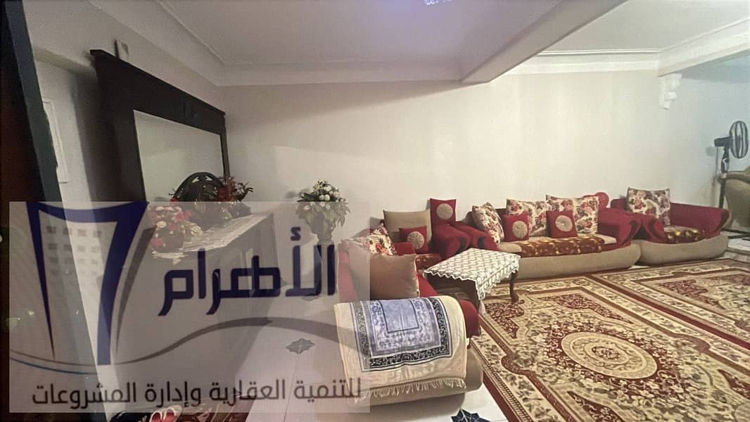 11 595894949_1159257693019097_5607412073601413048_n. jpg