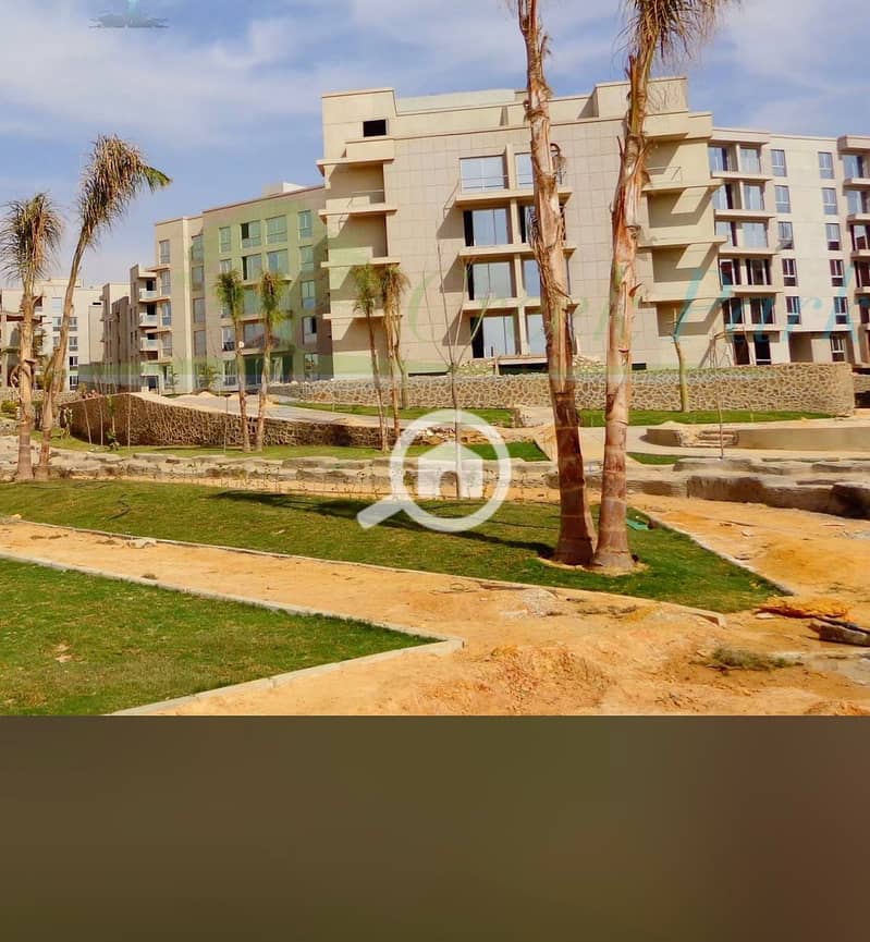 4 1dc7d8dd-2c79-4cda-805b-7c303b233358. jpeg