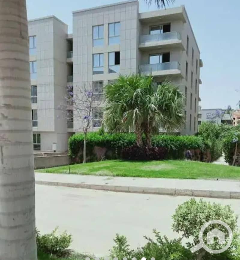 6 3cb5c1e8-52fd-47c2-bc71-daded994c11e. jpeg