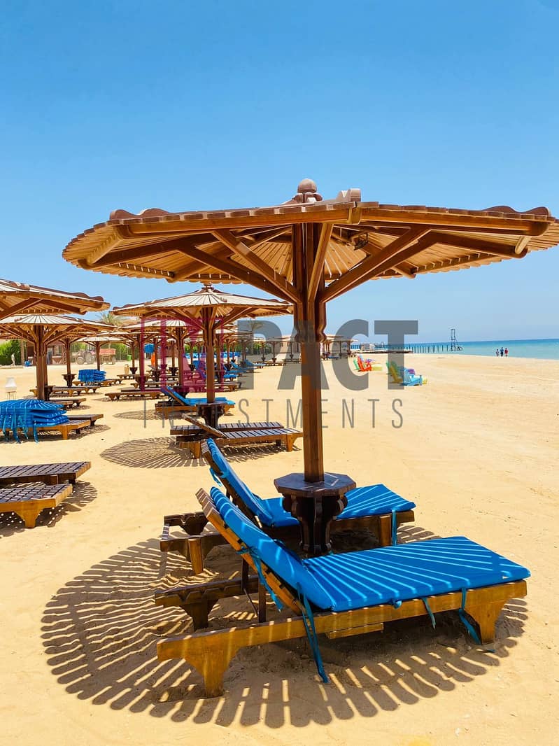 5 09179279-6be5-48e4-88bb-4eeb2670246f. jpg