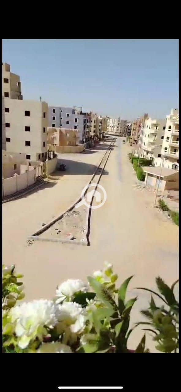 6 d2da55df-51a0-4358-ae2d-553536bd18c5. jpeg