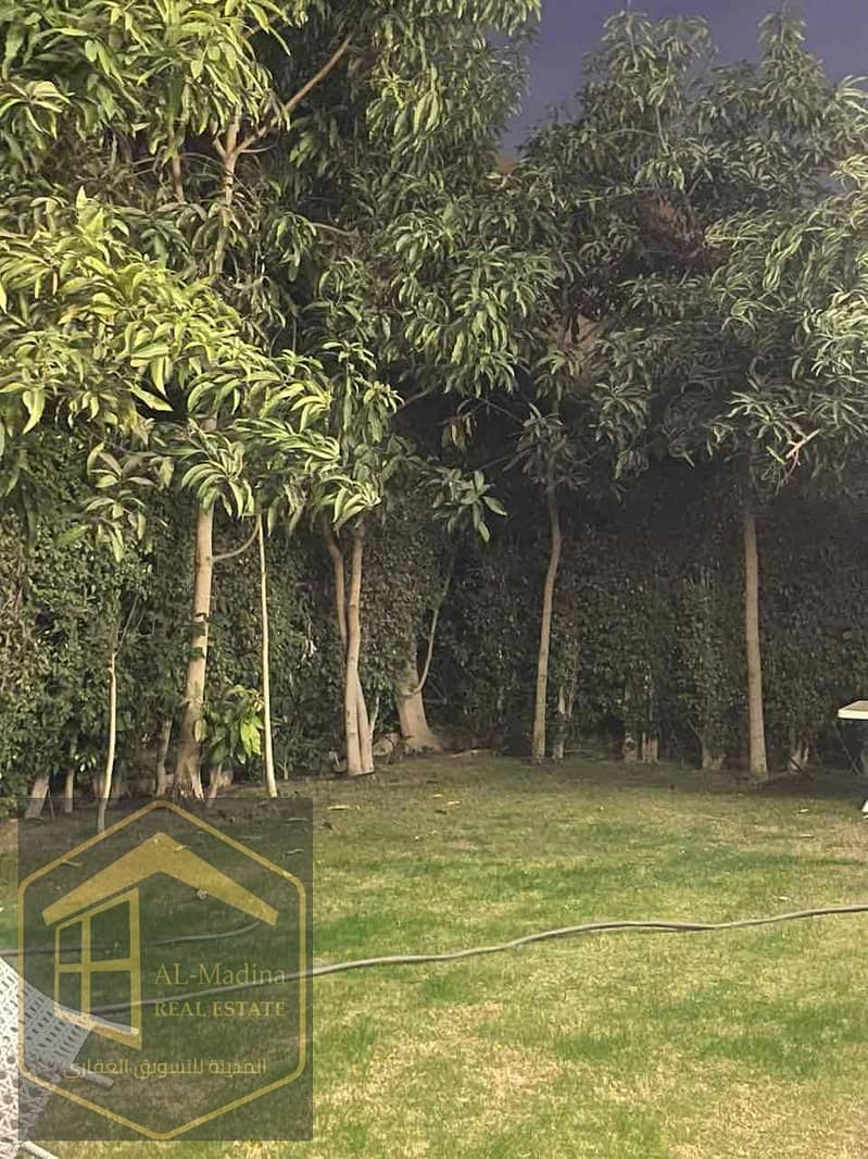 9 7abaa26a-1fb5-4958-88b7-2d4b4a18bd35. jpg