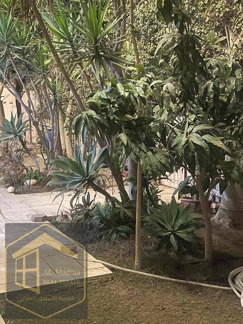 15 f8d026d8-2abf-48ae-bfc7-5ec03eb0b922. jpg