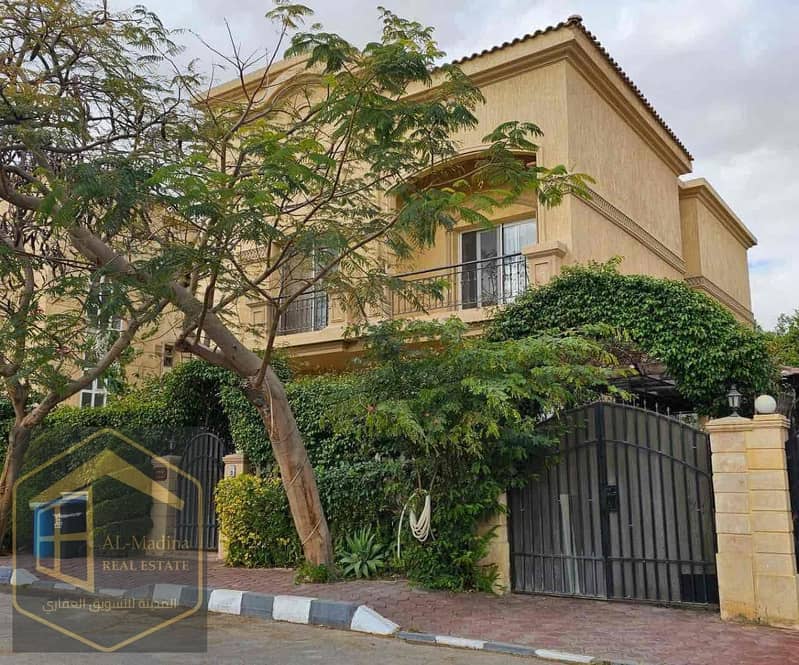 2 538b409e-66ff-4945-915f-045784d266ab. jpg