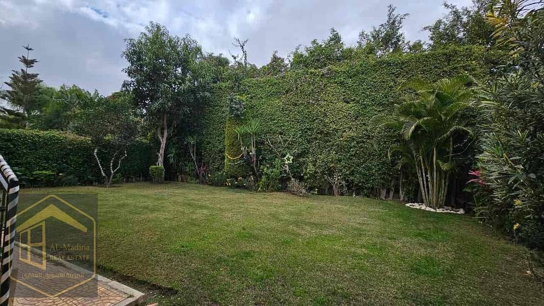 9 f7c15669-ea58-4ebc-9ea6-f7d05105b24e. jpg