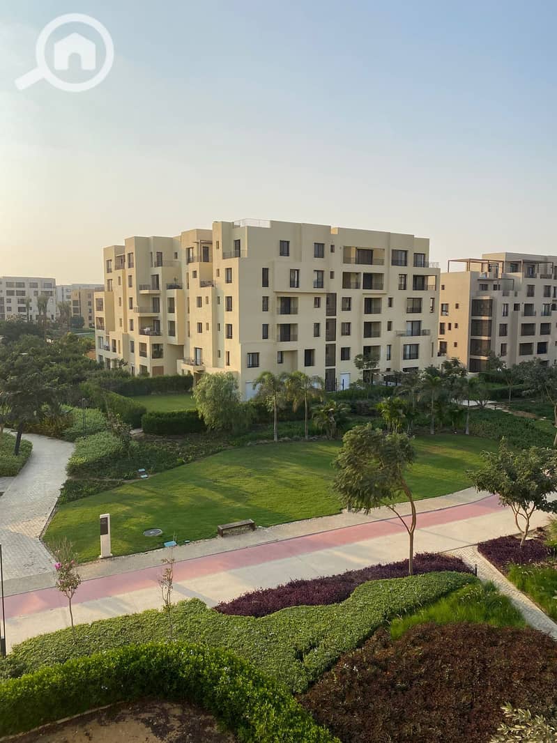 5 be230550-9f1a-4bdd-86e2-9937875162f3. jpg