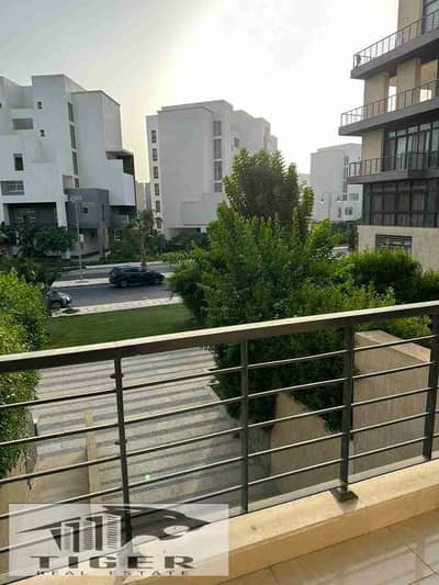 3 Bedroom Flat for Rent in Madinaty, Cairo - 1002932669. jpg 3 Bedroom Flat for Rent in Madinaty, Cairo - 1002932669. jpg