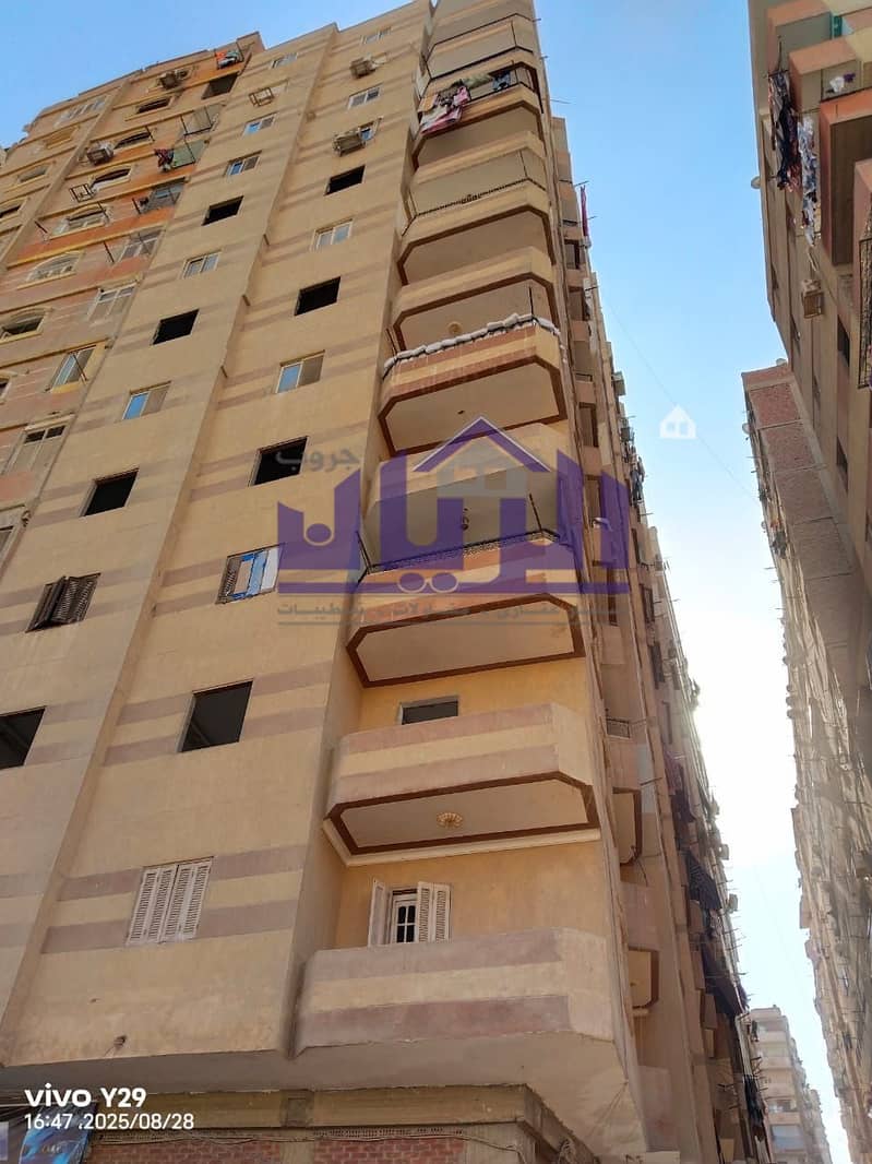 4 WhatsApp Image 2025-08-28 at 4.59. 47 PM (1). jpeg