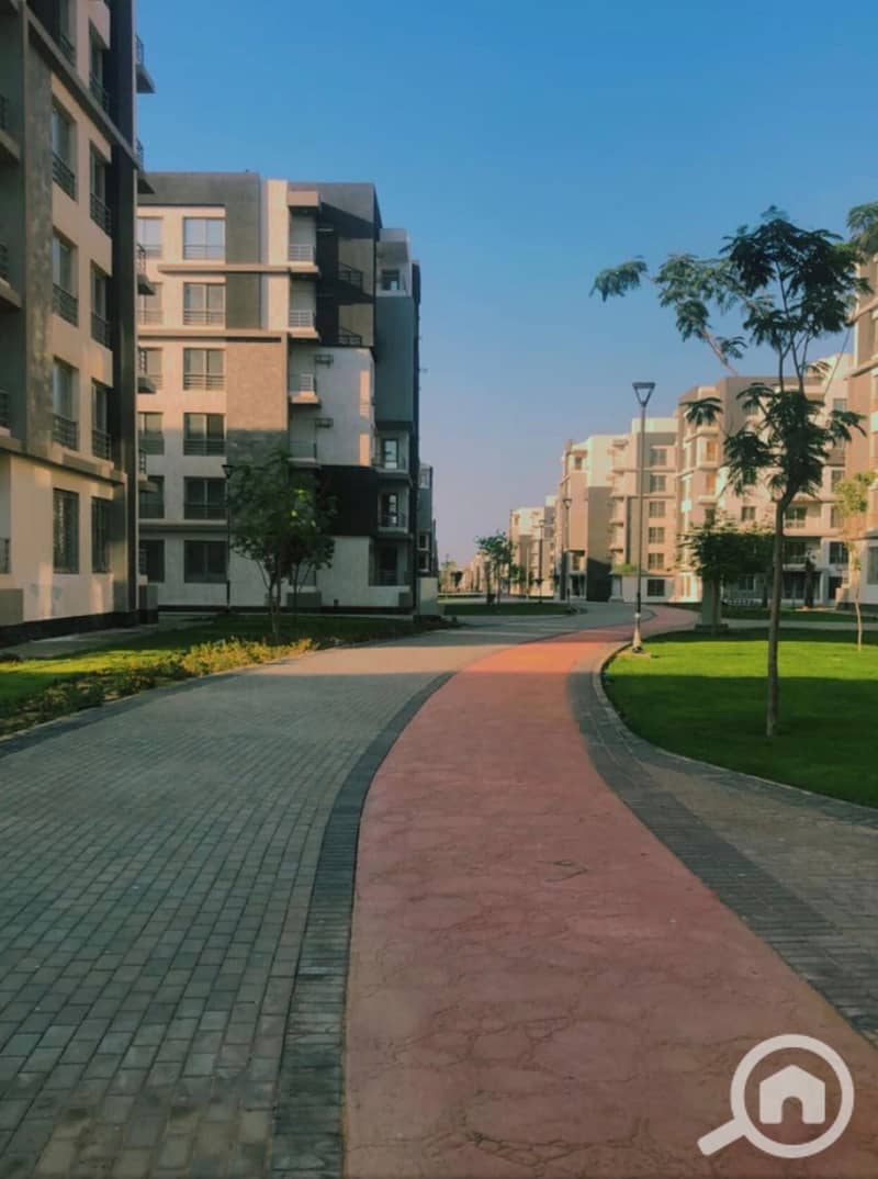 IMG_8397. jpeg IMG_8397. jpeg