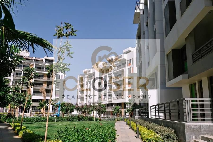 3 469529231_2548228892037182_4033659968840501226_n. jpg