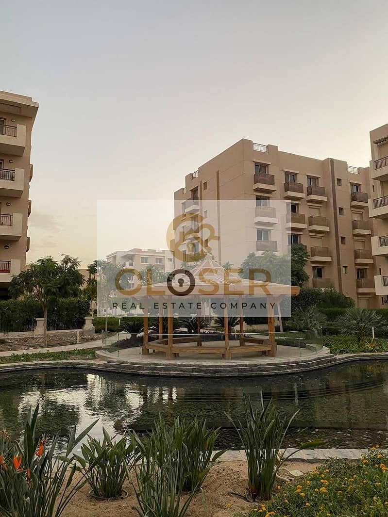 11 488056163_122221911188233445_8337111573145473432_n. jpg