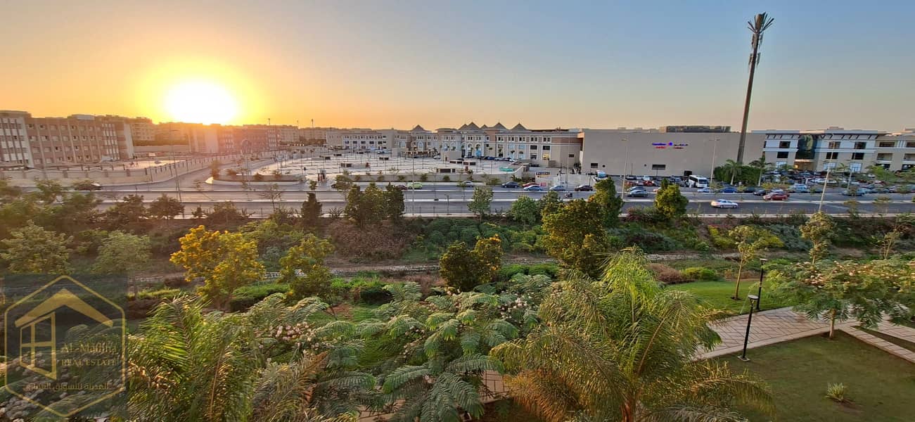 6 ٢٠٢٥١٠٢١_١٧٥٧٤٣. jpg