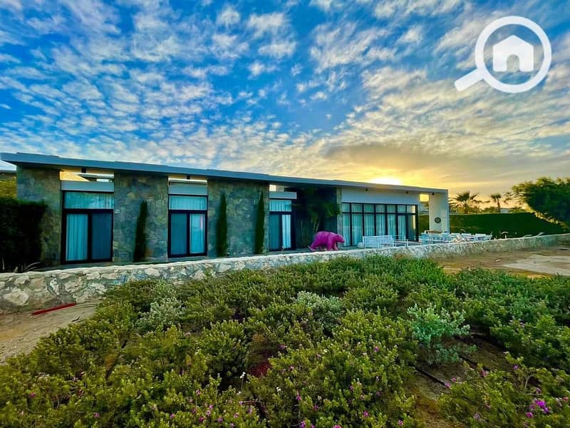 3 588457419_1565517884602722_2411117144415062471_n. jpg