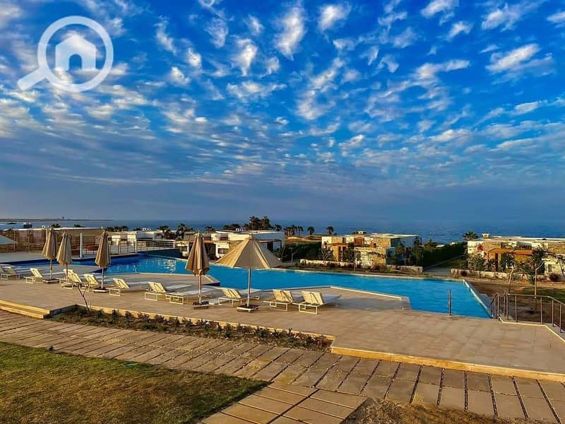 4 587114959_779023385181082_3406059023544309244_n. jpg